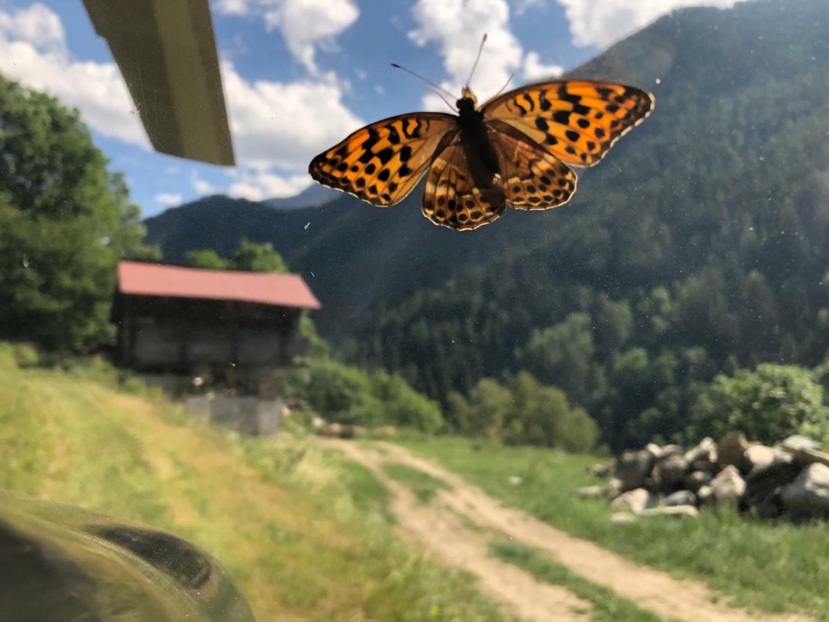 Chalet Le Verger Agettes Εξωτερικό φωτογραφία